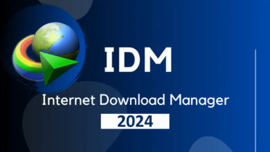 Internet Download Manager v6.42 Build 3