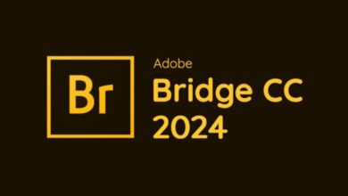 Adobe Bridge 2024